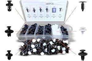 N NUEVAS IDEAS Clips Voiture - Rivet Plastique Voiture - Rivet Plastique Fixation de Protection pour Auto Voitures Panneaux de Portes - 6 tailles - Universel - 100 Pcs