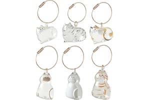 HDQQEU 6 STK Cat Hair Keychain, Katzenhaar SchlüSselanhäNger, Transparent Acryl Cat Hair Storage Box Pendants, KatzenanhäNger Katze Schlüsselanhänger, Pet Haar Erinnerungsbox Zum Aufsammeln Tierhaaren