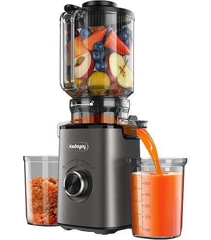 Anybear Entsafter 200W Slow Juicer mit 110 mm großem Einfüllschacht für ganze Früchte/Gemüse Küche, Haushalt & Wohnen