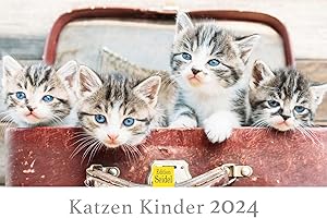 ‎EDITION SEIDEL Edition Seidel Premium Kalender Katzen Kinder 2024 DIN A3 Wandkalender Katzenkalender Katze Kater Katzenkinder süße Kätzchen Tiere Haustiere