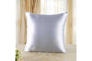 TOWNSSILK Taie d'oreiller 100% Soie Naturelle de mûrier - pour Les Cheveux et la Peau - 19 mm de Soie des Deux côtés - 1 unité, Soie, Gris Argenté, Standard 65x65cm