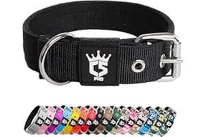 TSPRO Collare per Cani, Collare Tattico Regolabile con Fibbia in Metallo Robusto, Larga 3,3 cm, Resistente e Spesso per i Cani Piccoli (Nero S)
