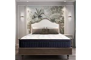 IZTOSS Matelas 160x200 Matelas Mémoire de Forme 11 Zones Différenciées 27cm de Hauteur