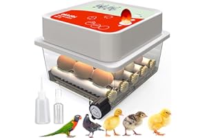 Okköbi OBI-12 Incubadora huevos gallina automática para pollos, patos y otros pájaros + NUEVO 2024 + Giro automático de huevos, control de temperatura y visor de humedad + GARANTÍA DE 5 AÑOS