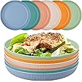 Worephu Unbreakable Dinner Plates, 6 Colors Reusable Lightweight Plates, Pizza/Pasta/Snack/Salad Plastic Dinner Sets for Home, Office, Picnic, Park