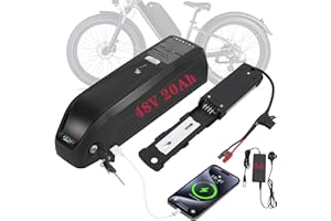 WR-TEAM R TEAM Ebike Battery 48v 20AH with 3A Charger, USB Port,Built in Samsung 50GB Cells,Lithium Electric Bike Battery for 1200W 1000W 750W 500W 250W Motor (Bafang, AW, KT most ebike conversion kit)