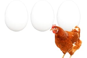FINCA CASAREJO Uova Finte per Galline – Uova Bianche Finte e Solide – Uova Artificiali per Nido de Galline – 3 Uova Finte
