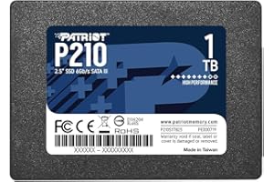 PATRIOT MEMORY Patriot P210 Interne Solid State Drive 1TB SSD SATA 3 2,5 Zoll