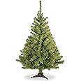 National Tree Company Artificial Mini Christmas Tree, Green, Kincaid Spruce, Includes Stand, 4 Feet
