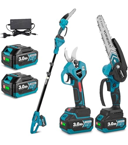 2-in-1 accu-hoogsnoeier, 6 inch mini-kettingzaag, elektrische 2-in-1 accu-hoogsnoeier, 6 inch mini-kettingzaag, elektrische