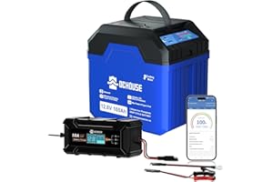 DCHOUSE 12V 100Ah LiFePO4 Batería de Litio con Bluetooth y Cargador de 10A, hasta 15000 ciclos, 1280Wh, para Motores de Arrastre, autocaravanas, Sistemas solares, Camping