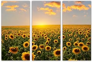 AREDE Set di 3 Stampe da Parete Quadri Moderni Decorazioni da Muro per Casa Soggiorno Camera da Letto e Cucina Campi di girasoli all'alba| 90 x 60 cm | Pronto da appendere