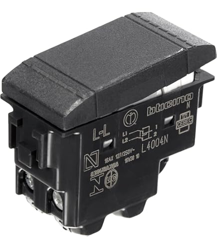 BTicino SL4180F Prise 2P T 10/16A by-Pass Série Living International, Anthracite