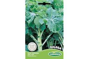 Germisem Galega Semi di Cavolo 5 g