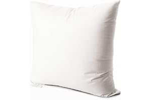 EDOW Luxury Throw Pillow Insert, Soft Fluffy Down Alternative Polyester Square Form Decorative Pillow Insert,Sham Stuffer,Cotton Cover for Sofa, Couch,Bed and Car. (White, 18x18)