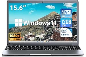 SGIN PC Portable 15,6 Pouces, 12Go RAM 512Go SSD Laptop Notebook, Celeron N5095, Up to 2.8GHz, 1920x1080, 2.4/5.0G WiFi, Bluetooth 4.2, Mémoire Extensible 512Go TF