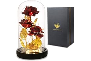 DREAM OF FLOWERS Valentines gifts Enchanted rose, Rose Romantic Gift for Her, Beauty and the beast rose, Galaxy Flowers Rose, Forever rose Gifts, Birthday, Wedding, Valentine's Day, Mother's Day (Red)