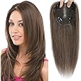 Human Hair Toppers for Women Real Human Hair Topper with Thinning Hair Clip In Topper Hairpieces 40g No Bangs 10 * 12CM Swiss Base Wiglets Top Hair Toppers 12Inch （Medium Auburn Brown）
