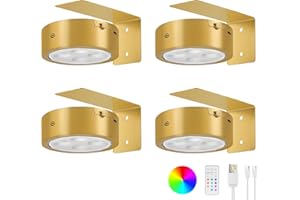 Lightess 4 Pack Picture Lights for Wall with Remote Warm White and 13 RGB Picture Frame Light LED Rechargeable Wall Lights Dimmable Timer&Touch Control Magnetic Battery Operated Darts Light,Gold