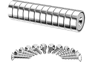 Gvolatee Mocny magnes neodymowy