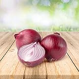 Rote Zwiebel 100 x Samen - Aus Portugal 100% Natürlich Ohne Chemische Anzuchthilfe Oder Gentechnik, Einfach Nur Natur Pur