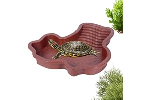Vaschetta Vasca per Tartarughe di Terra con Rampa‌,Vasca Piscina Vaschetta da Bagno per Tartarughe d'acqua, Laghetto Terrario Ciotola Accessori (#01)