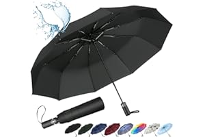 inaWarm Parapluie Pliant Automatique, Parapluie Compact Solide Anti Vent avec Revêtement en Téflon 210T et 10 Baleines en Fibre de Verre, Parapluie de Voyage pour Hommes et Femmes