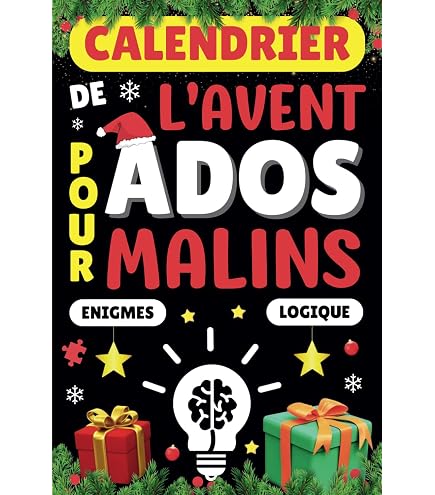 Calendrier De L’Avent Casse-tête 2024 – 24 Puzzles En Métal Et Plastique – Compte à Rebours De Noël – Jeux éducatifs Pour Enfants Et Adultes