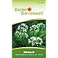Bärlauch Samen | Wald-Knoblauch Saatgut | Bärlauchsamen | Allium ursinum | Bärenlauch | Bärenkraut
