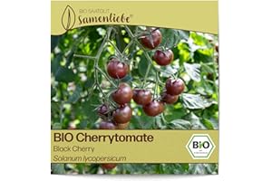 Samenliebe BIO Cherrytomaten Samen alte Sorte Black Cherry süß fruchtige Cocktailtomate Tomate schwarz rot 10 Samen samenfestes Gemüse Saatgut für Gewächshaus Freiland und Balkon BIO Gemüsesamen