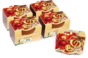 ‎BULL & BEAR Bull & Bear 5er Set Mini Pflanzset 'Angel Chorus' mit Samen für Himmelsröschen im Topf 4,5cm, Pflanzen Anzuchtset mit Pflegeanleitung