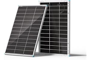 RENOGY 100 W N-typ tvåfacial monokristallin solmodul, 16BB IP68 solpanel med 25 % högeffektiva solceller, dubbelsidig PV-modu