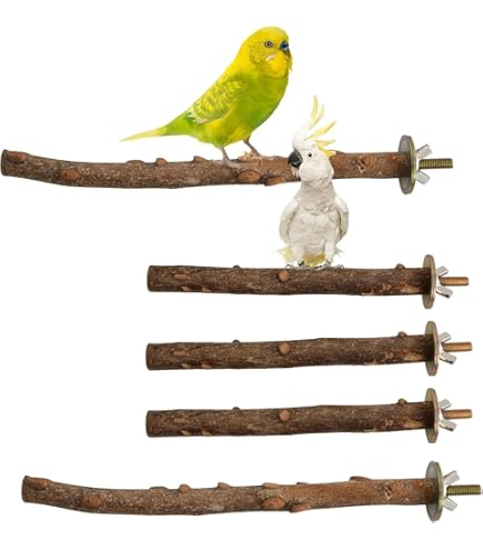 Vogel Sitzstangen Sitzstange Haselnuss Holz Für Vögeln 5 Stück L 20 Cm