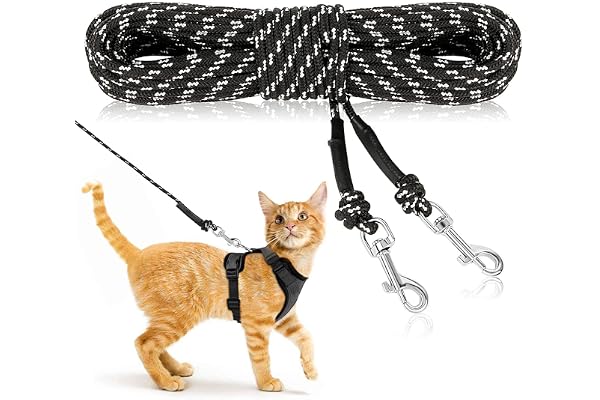 RANYPET Laisse Longue réfléchissante pour Chat 15 m / 50 FT/Laisse Longue durée de Vie sûre pour Chatons, Chiots, Lapins et Petits Animaux
