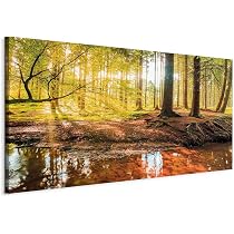 B&D XXL Wandbild 200x100 Cm, 5-teilig, Vlies-Leinwand – Moderner Druck Wald & Wasserfall