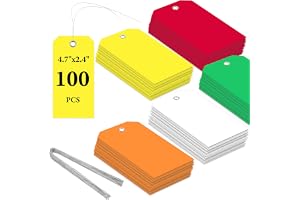 Flintronic 100 stycken vattentäta fraktetiketter av plast, skrivbara hängetiketter, återanvändbara fraktetiketter, för märkni