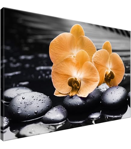 bingenheimer saatgut öffnungszeiten Kornblume main image 1