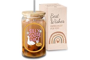 VivaJoy Gifts for Women - Birthday Gifts for Women, Friend Gift, Silly Goose Juice Glasses, Glass Cups with Straw and Lid, Thanks Gift for Womens, Sister, Bestie, Best Friend