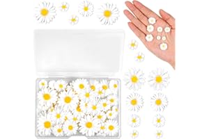 Molain 50pcs Mini Daisy Decorations, Resin Daisy Flowers Crafts Small Decorative Daisies Charms for DIY Crafts, Party, Home Decoration(White)