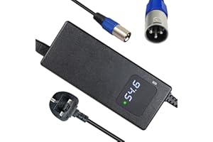 YANGZIDIANYUAN 54.6V 2A battery charger, for 48V lithium battery with LED display and multi-protection repair function, equipped with 3 pin XLR connector