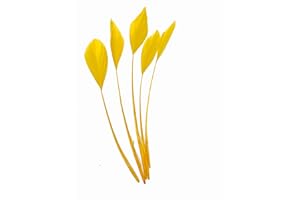 CAPRILITE Long Fascinators Feathers Stripped Coque Millinery Hats Trimmings Coloured (Mustard Gold)