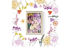 DOG'S BOOTY Fiori Secchi Decorativi Fiori Secchi Fiori Secchi per Resina Fiori Secchi per Bomboniere Fiori Secchi per Candele Fiori Secchi Naturali per Artigianato DIY Scrapbooking Candele Decorazione (Colorato)