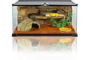 CAVACHEW Terrariums for Reptiles & Amphibians, Terrarium 50 x 30 x 20 cm, Terrarium Glass for Turtles, Bearded Dragons, Snake, Gecko, Upper Mesh Ventilation, 360° Viewing