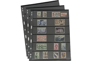 PCCB MINGT 10 hojas internas estándar a 9 foros, doble cara, para álbumes, estampillas, billetes, colecciones, páginas internas para álbumes de monedas y suministros (Negro, 6 Bolsillos)