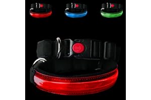 PETTY LED-hundhalsband för hund, uppladdningsbart med USB-C, justerbart nylonhalsband med 3 ljuslägen, röd, storlek XS