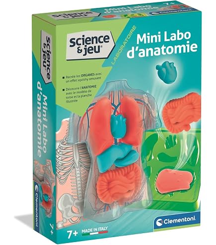 Ravensburger Jeu Éducatif Le Jeu Du Corps Humain - Dès 4 Ans Avec Mini Coffret Radiologie