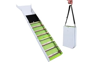 BEWINNER Scatola di Chiusura Pieghevole in Lega di Alluminio, Attrezzatura Portatile per la Prospezione Dell'oro, Kit per la Ricerca Dell'oro per L'estrazione Dell'oro per Fiume, Verde