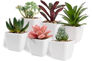 Hywean Homd 6 Pièces Petites Plantes Artificielles en Pot, Plantes Artificielles Décoratives, Plantes Succulentes Artificielles Intérieur, Fausse Plantes Décoration pour Maison Bureau Table Chambre