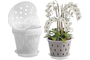 FUBESK Macetas transparentes para orquídeas, macetas de plástico para orquídeas con agujeros, macetas de 5 pulgadas con drenajes, macetas ranuradas transpirables para plantas de orquídeas, trasplante