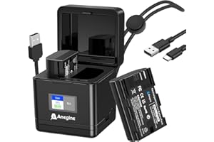 Anegine LP-E6P Akku 2750mAh und LCD Dual Ladegerät mit Schlüsselband für Canon EOS R5, EOS R5 II, EOS R5 Mark II, EOS R6, EOS R6 II, EOS R7 Kamera (2er-Pack)